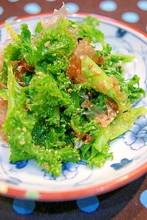 健康野菜◎わさび菜のおひたし