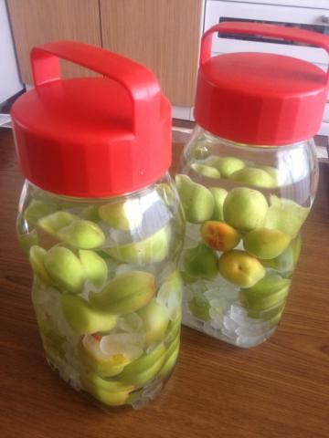 簡単★自家製の梅酒