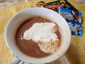 板チョコ半分で　ホットチョコレートドリンク
